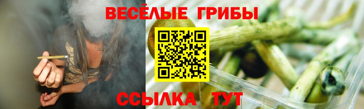 Галлюциногенные грибы MAGIC MUSHROOMS  Псилоцибиновые грибы Psilocybe  Северодвинск  Вход с VPN 